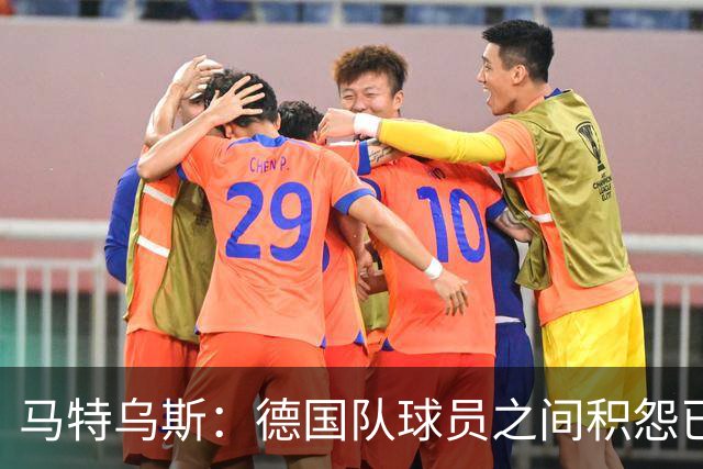 马特乌斯：德国队球员之间积怨已久 一些人的家人可以享受特权